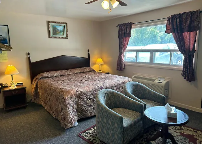 The Silver Birch Motel