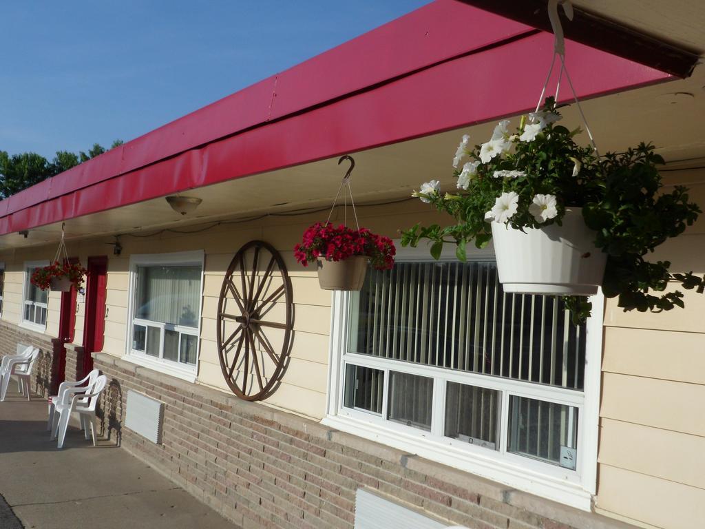 Motel The Silver Birch 3*