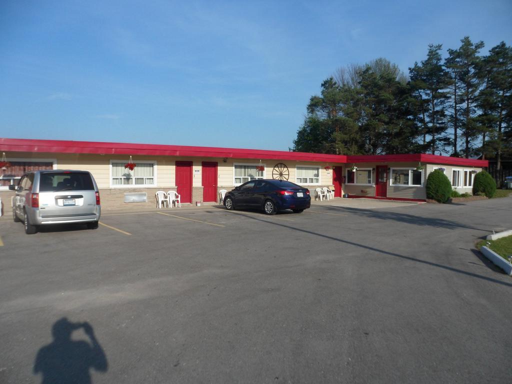 Motel The Silver Birch