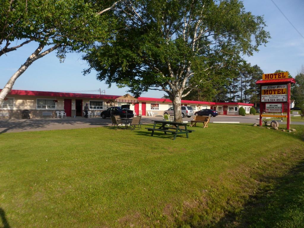 Motel The Silver Birch