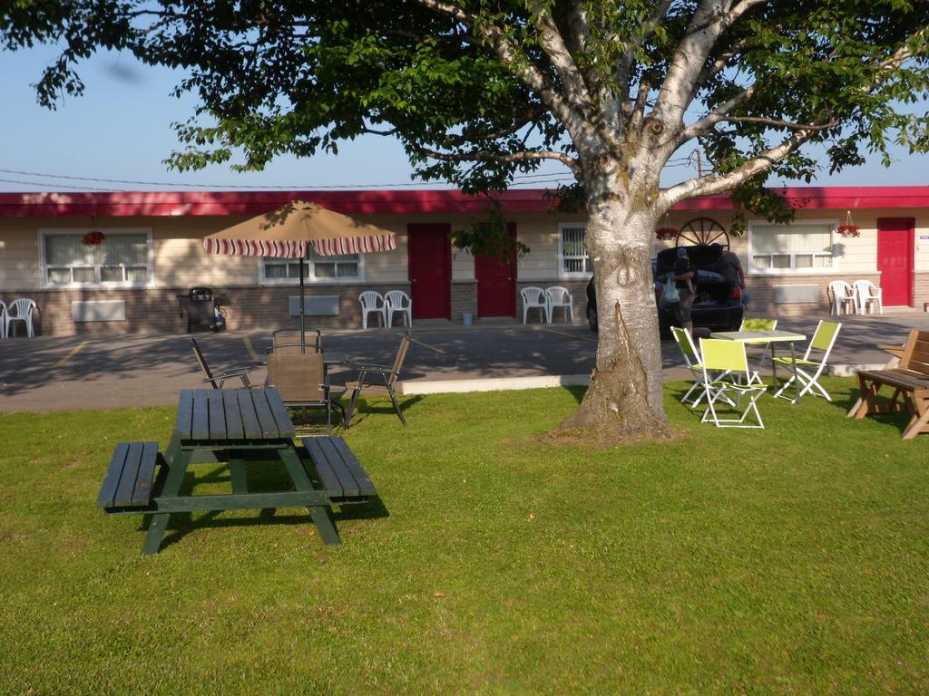 Motel The Silver Birch