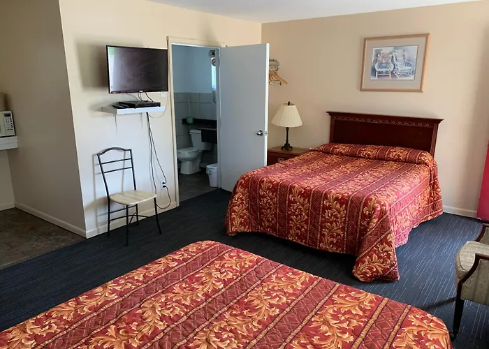 The Silver Birch Motel
